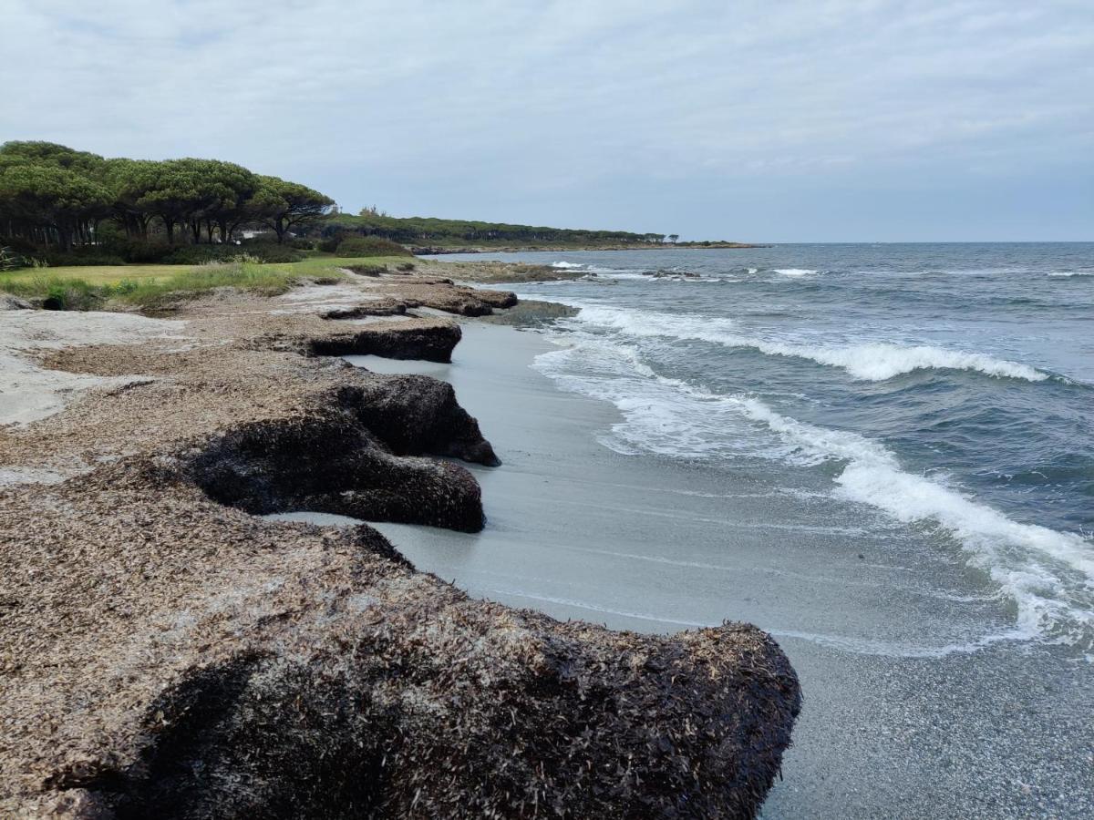 Rotonda Sul Mare Villa Budoni Bagian luar foto